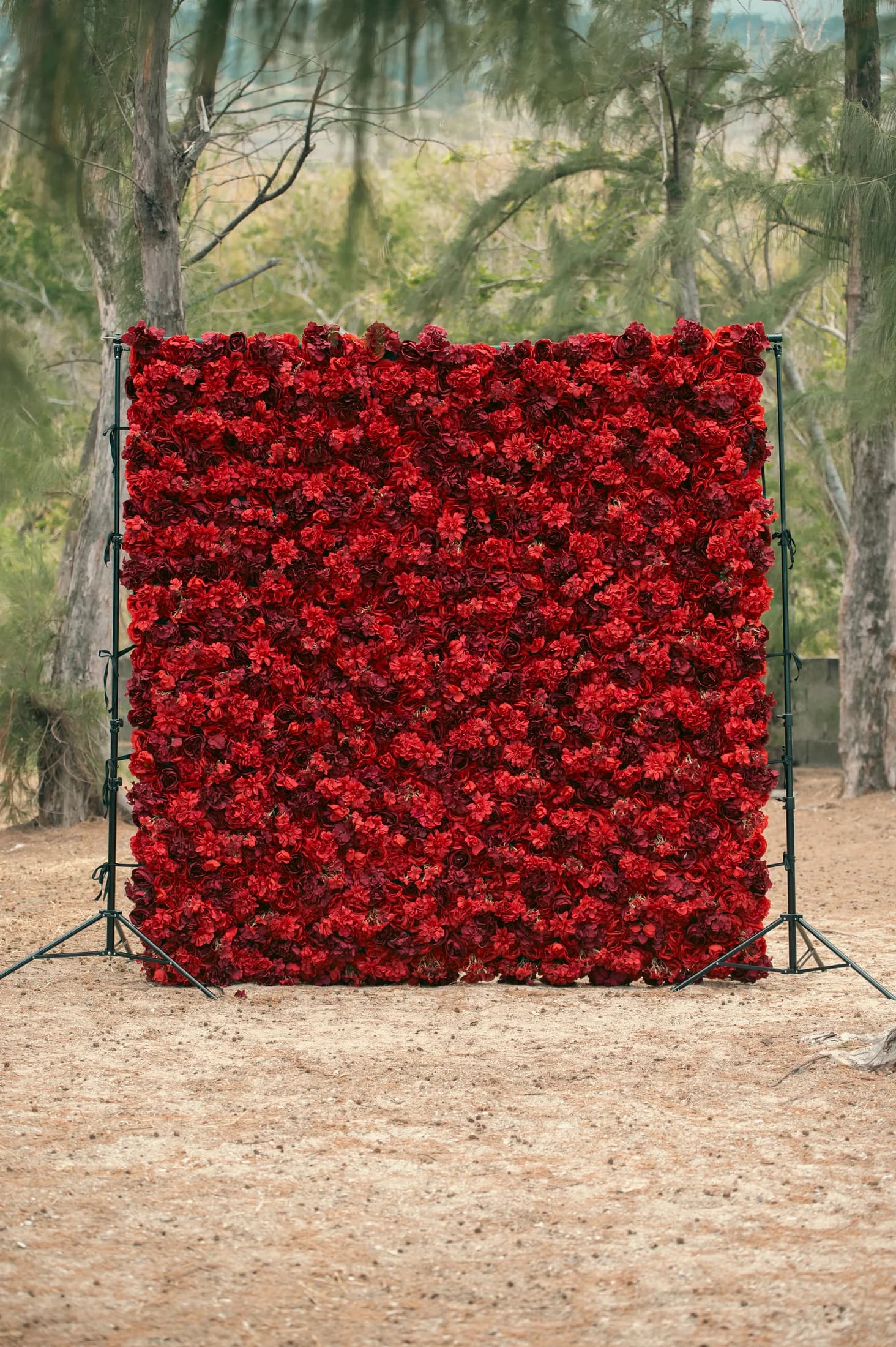 Fond fleuri rouge